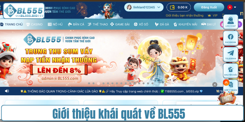 Giới thiệu khái quát về BL555