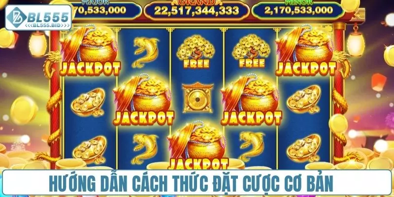 Hướng dẫn cách thức đặt cược cho người mới tham gia