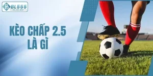 kèo chấp 2.5 là gì