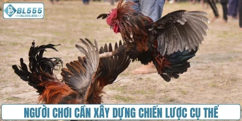 Người chơi cần xây dựng chiến lược cụ thể