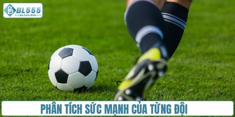 Phân tích sức mạnh của từng đội bóng tham gia