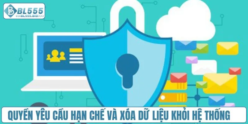Quyền yêu cầu hạn chế và xóa dữ liệu khỏi hệ thống 